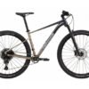 HALBSTARRES MOUNTAINBIKE CANNONDALE TRAIL SL 1 SRAM NXSX EAGLE 12V 29'' GRAU METEOR BEIGE
