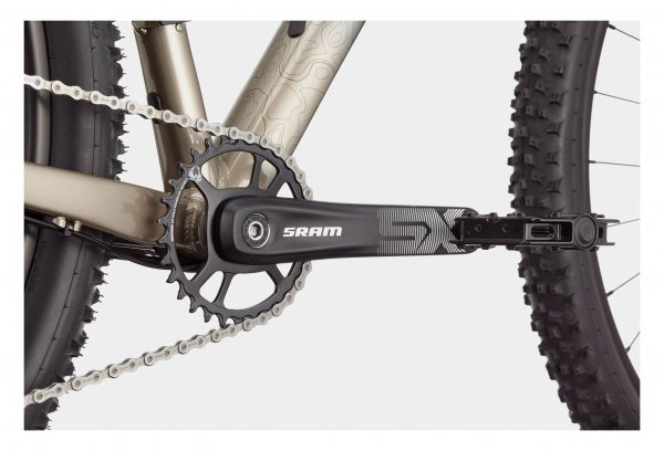 Halbstarres Mountainbike Cannondale Trail SL 1 Sram Grau Meteor Beige