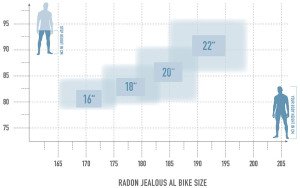 Radon Jealous AL 9.0 MS