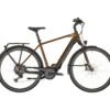 Bergamont E-Horizon Elite Gent - 625 Wh - 2020 - 28 Zoll - Diamant