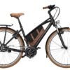 Riese und Müller Cruiser Mixte 2022