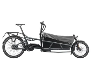 Riese & Müller LOAD 75