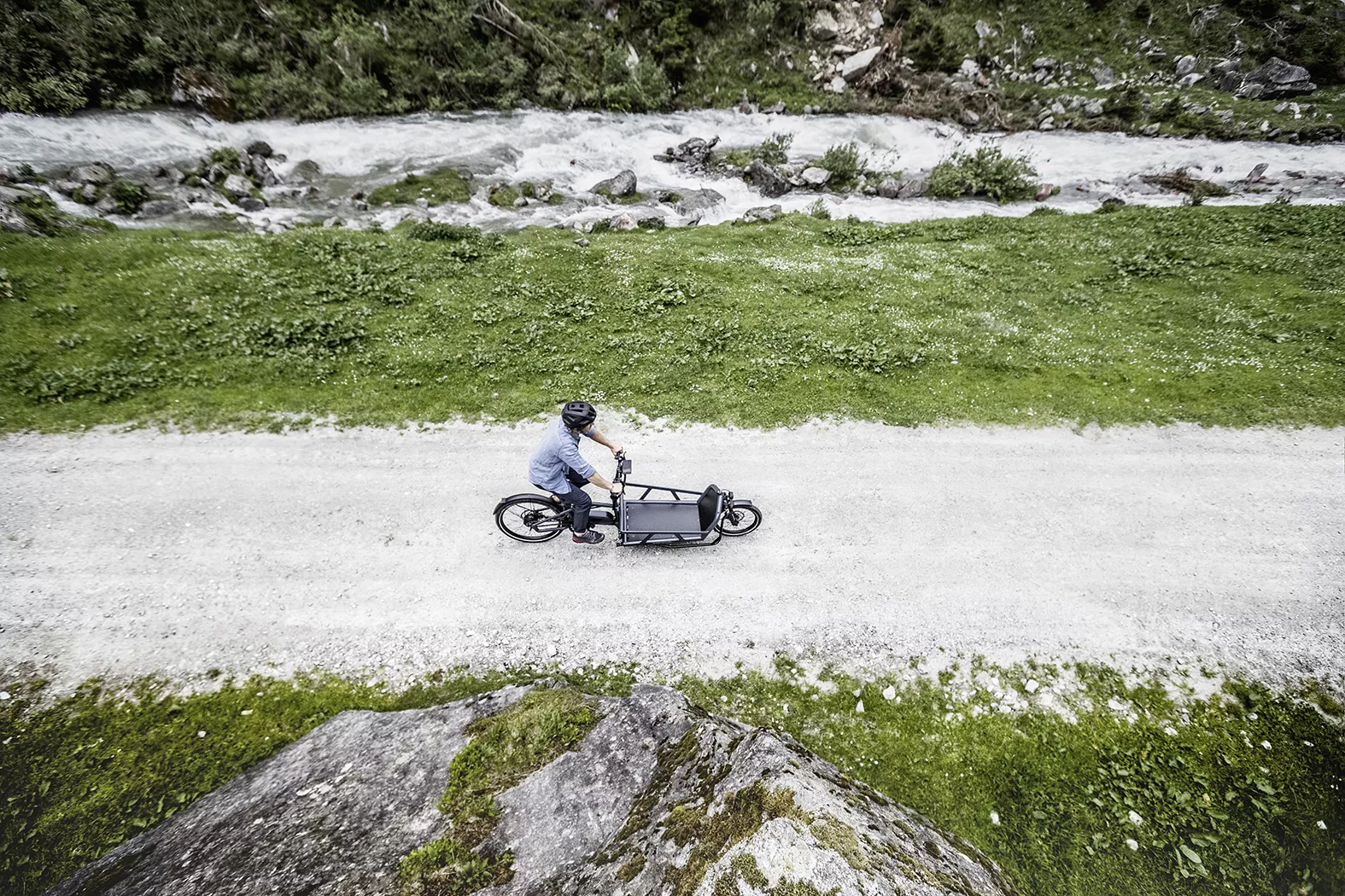 Riese & Müller LOAD 75