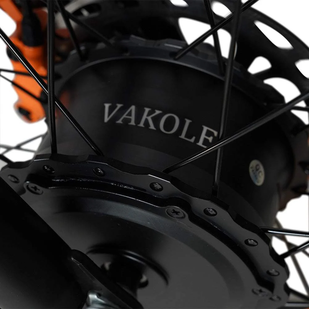 Vakole CO20 Max 750W*2 Doppelmotor 20"