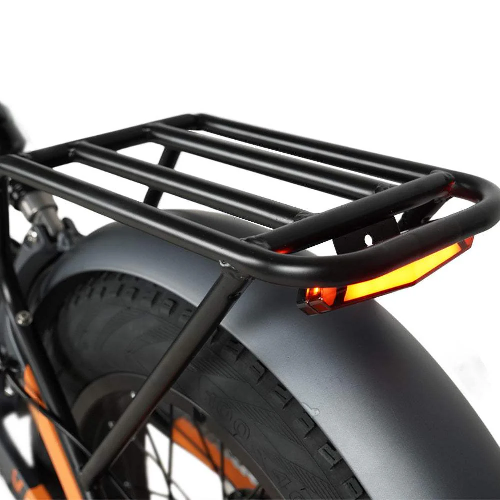 Vakole CO20 Max 750W*2 Doppelmotor 20"